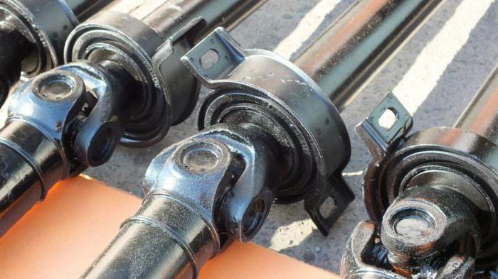 ��� ����� ��������� ���10